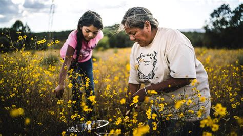 How to gather reviews that truly reflect product artistry & refined elegance?