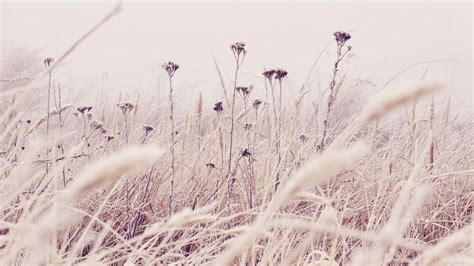 [100+] Subtle Backgrounds | Wallpapers.com