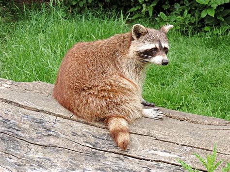 50+ Free Small Size &amp; Small Images - Pixabay