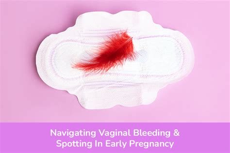Navigating Vaginal Bleeding &amp; Spotting In Early Pregnancy