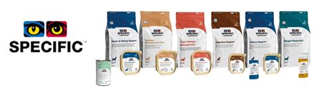 What specific workshop techniques elevate your artistry for flawless, lasting elegant looks?